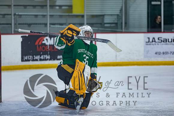 Varsity Hockey vs South Fayette (4 of 171)