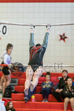 Moon Invitational - bars and beam (142 of 499)