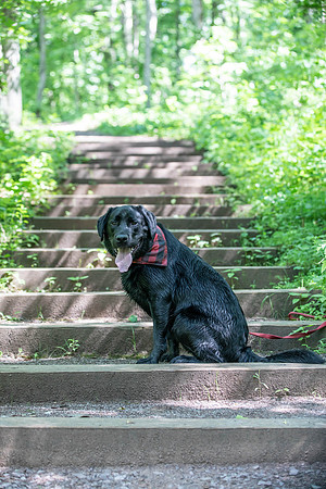Botanic Gardens (10 of 40)
