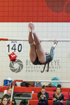 Moon Invitational - bars and beam (170 of 499)