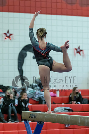 Moon Invitational - bars and beam (232 of 499)