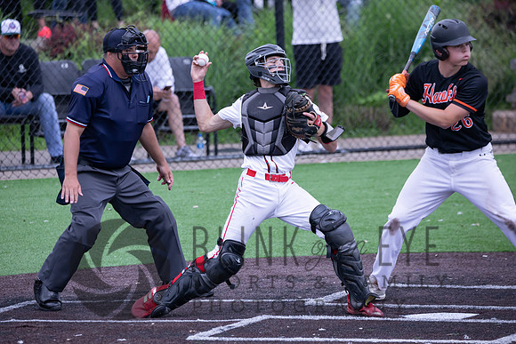 PIAA Quarterfinals (106 of 218)