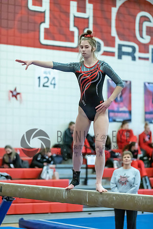 Moon Invitational - bars and beam (274 of 499)