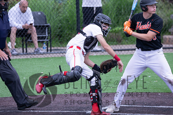 PIAA Quarterfinals (108 of 218)