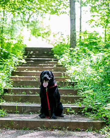 Botanic Gardens (13 of 40)