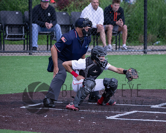 PIAA Quarterfinals (128 of 218)