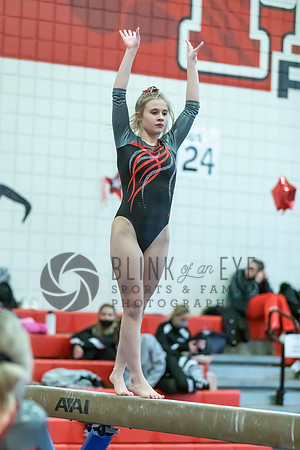 Moon Invitational - bars and beam (299 of 499)