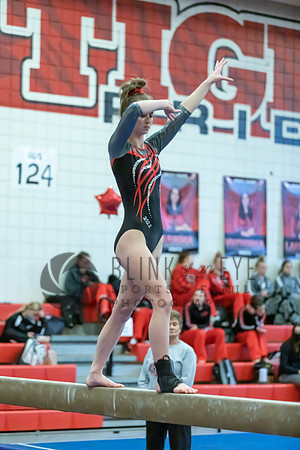 Moon Invitational - bars and beam (265 of 499)