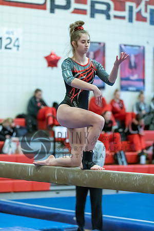 Moon Invitational - bars and beam (264 of 499)