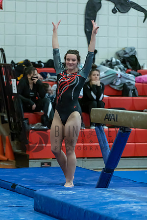 Moon Invitational - bars and beam (236 of 499)