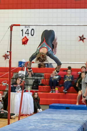 Moon Invitational - bars and beam (126 of 499)