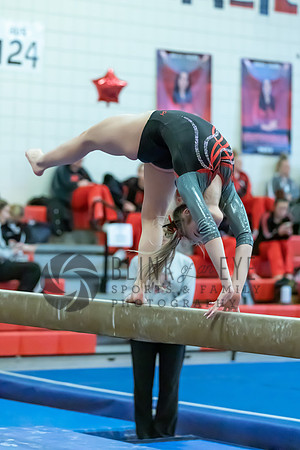 Moon Invitational - bars and beam (295 of 499)