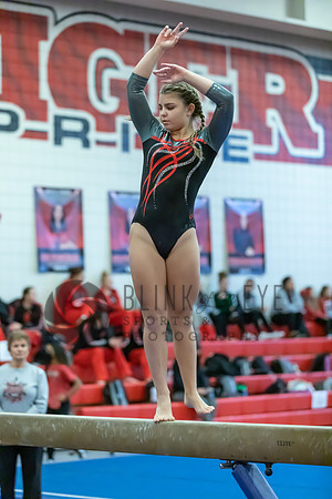 Moon Invitational - bars and beam (332 of 499)