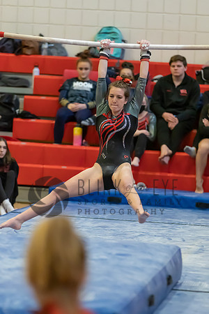 Moon Invitational - bars and beam (182 of 499)