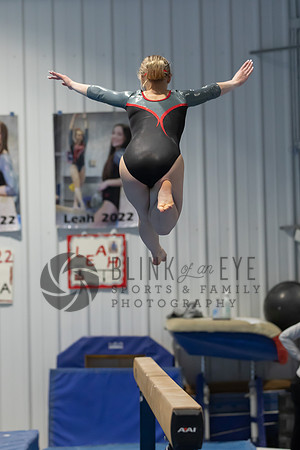 Balance Beam (79 of 213)