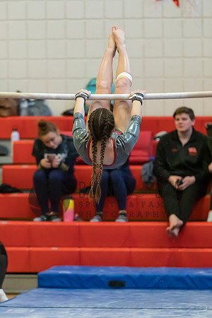 Moon Invitational - bars and beam (152 of 499)