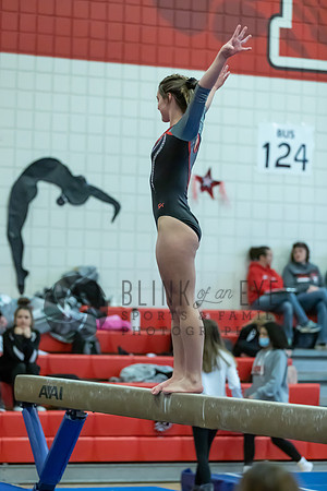 Moon Invitational - bars and beam (230 of 499)