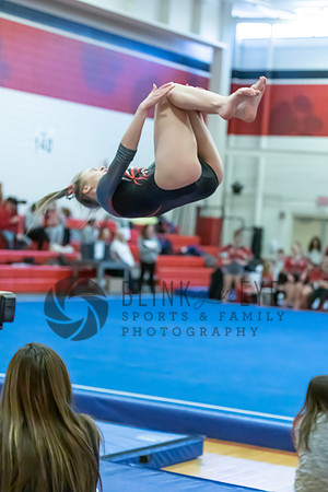 Moon Invitational - bars and beam (319 of 499)