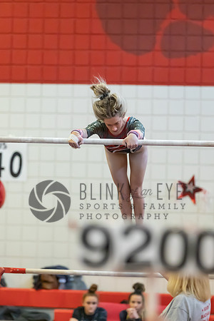 Moon Invitational - bars and beam (98 of 499)