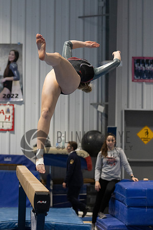 Balance Beam (99 of 213)