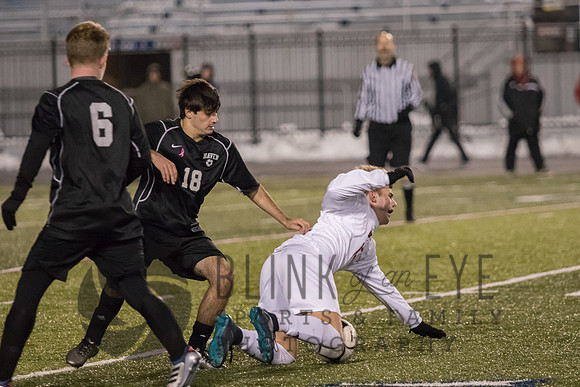 State Champions (256 of 628)