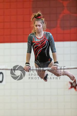 Moon Invitational - bars and beam (123 of 499)