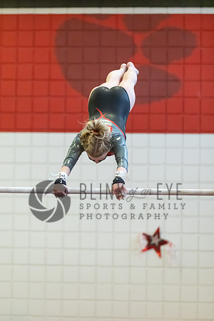 Moon Invitational - bars and beam (140 of 499)