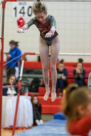 Moon Invitational - bars and beam (101 of 499)