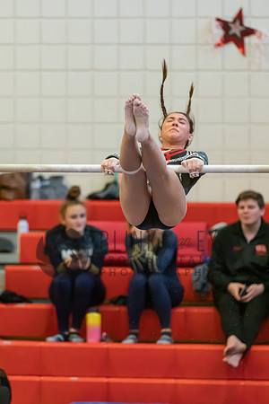 Moon Invitational - bars and beam (157 of 499)
