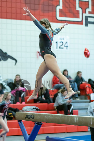 Moon Invitational - bars and beam (339 of 499)