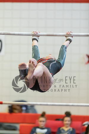 Moon Invitational - bars and beam (119 of 499)