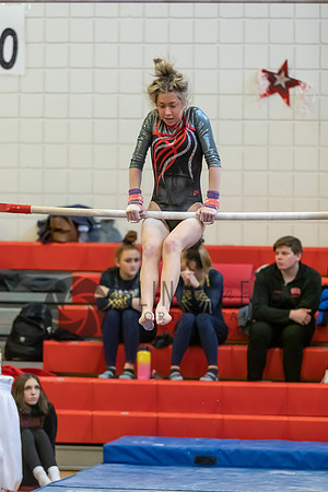 Moon Invitational - bars and beam (89 of 499)