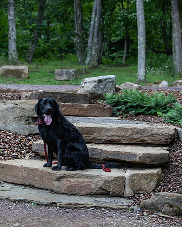 Botanic Gardens (7 of 40)
