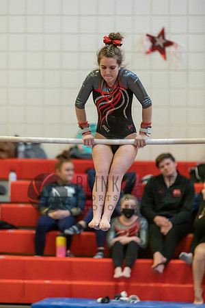 Moon Invitational - bars and beam (184 of 499)