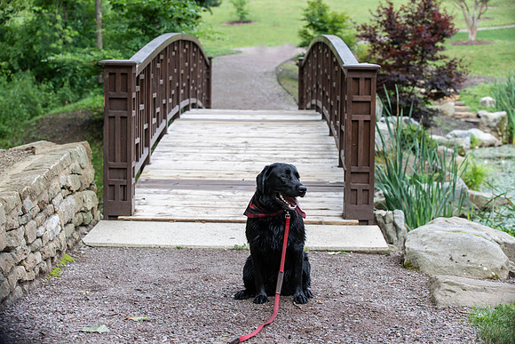 Botanic Gardens (5 of 40)