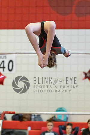 Moon Invitational - bars and beam (197 of 499)