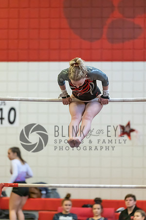 Moon Invitational - bars and beam (139 of 499)