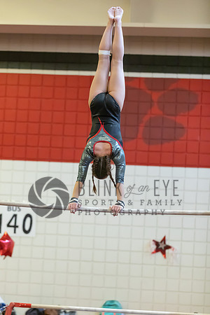 Moon Invitational - bars and beam (166 of 499)