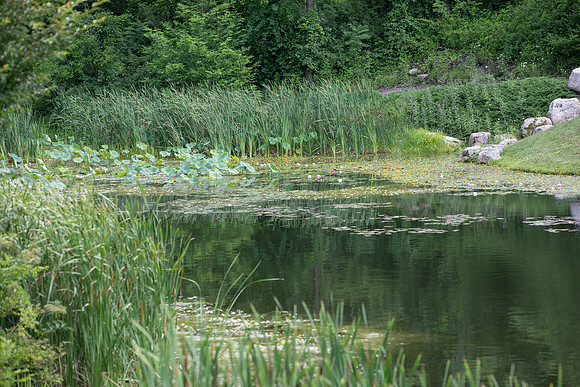 Botanic Gardens (3 of 40)