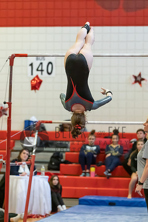 Moon Invitational - bars and beam (125 of 499)