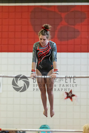 Moon Invitational - bars and beam (202 of 499)