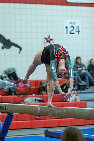 Moon Invitational - bars and beam (217 of 499)