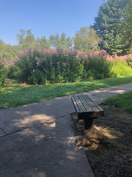 Wildflower Reserve