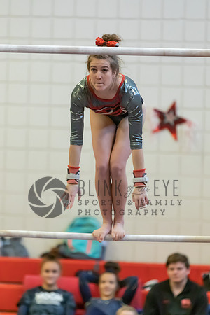 Moon Invitational - bars and beam (185 of 499)