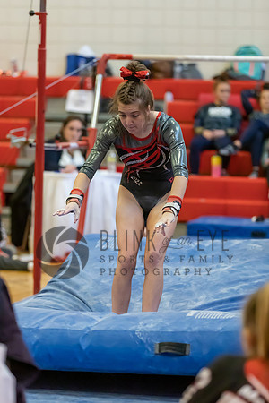 Moon Invitational - bars and beam (208 of 499)