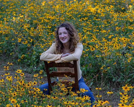 Field of Flowers