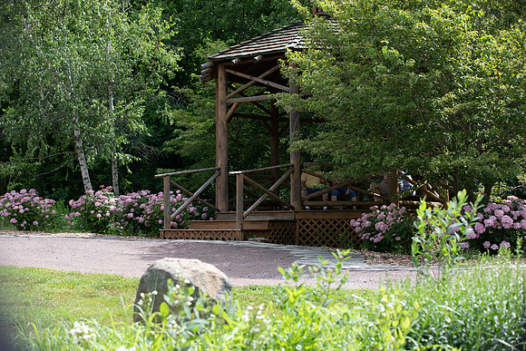 Botanic Gardens (16 of 40)