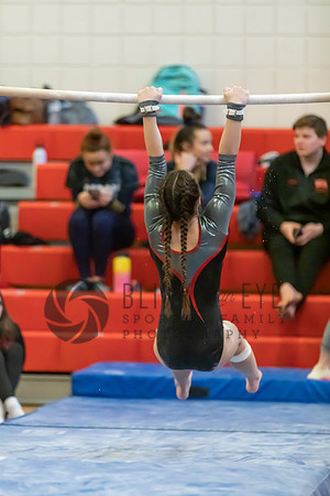 Moon Invitational - bars and beam (151 of 499)