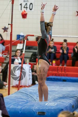 Moon Invitational - bars and beam (84 of 499)