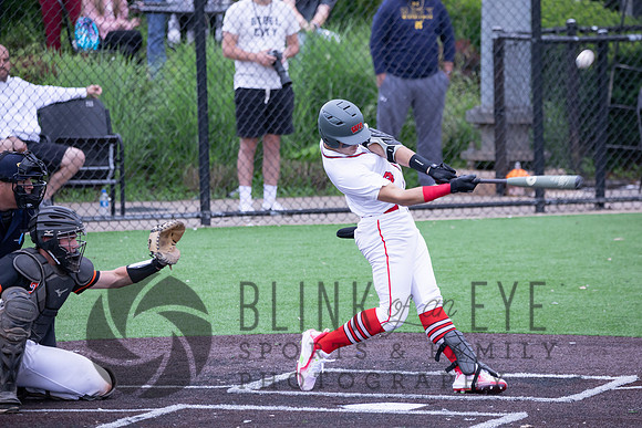 PIAA Quarterfinals (96 of 218)
